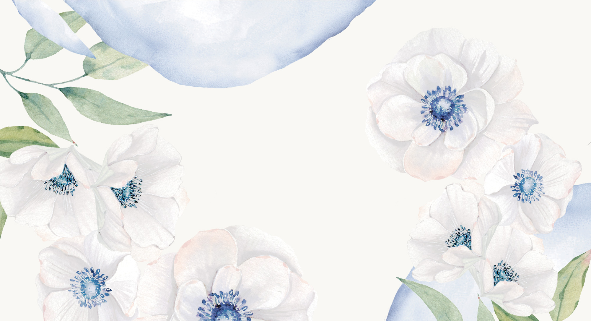 トップイメージ背景 白と青の花